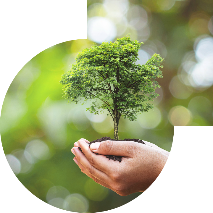 关怀人类、文化、环境与社会